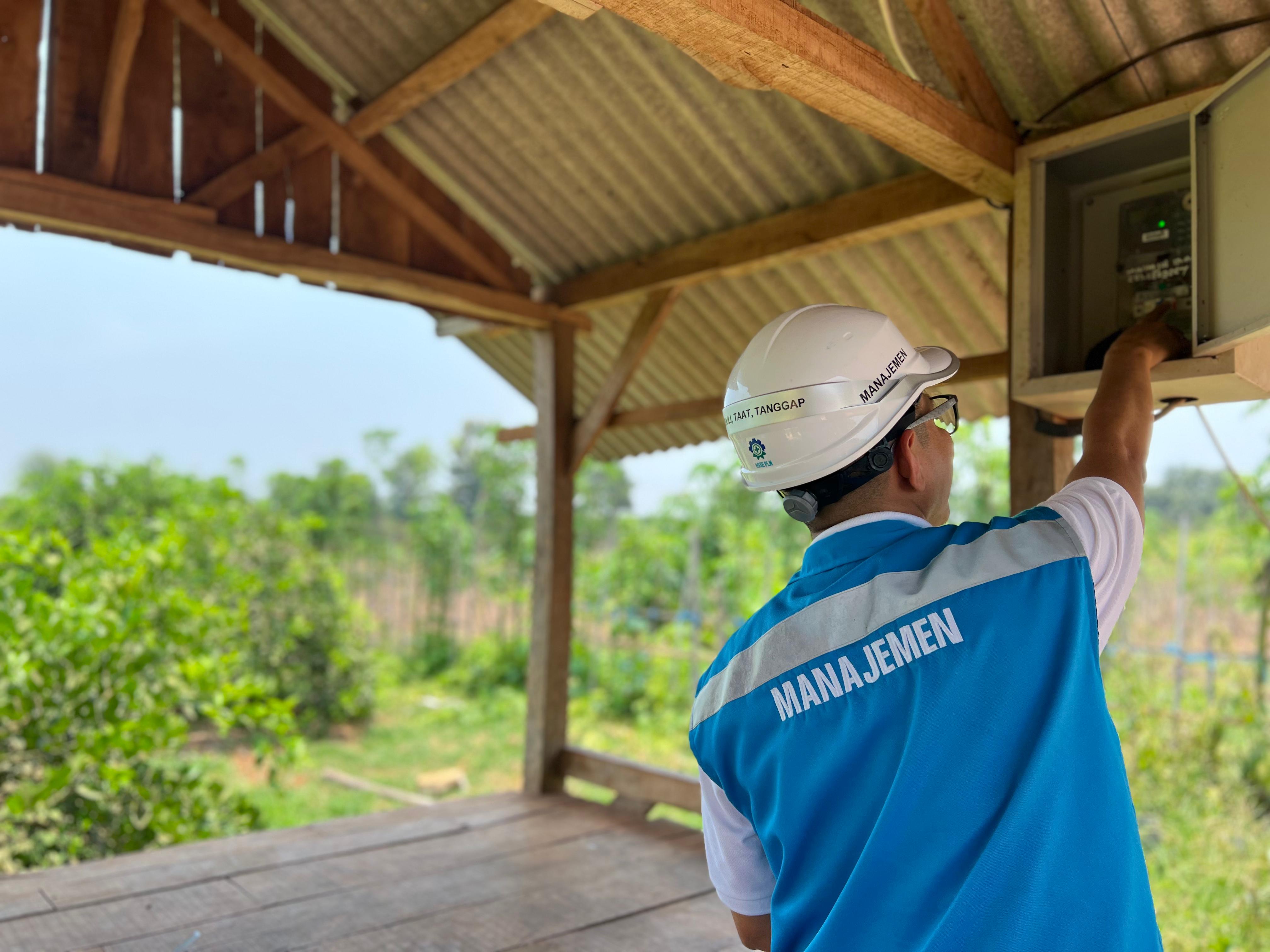 Pangkas Biaya Produksi Petani Jeruk Ujungpangkah Manfaatkan