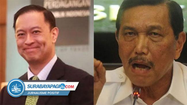 Tom Lembong Warning Luhut: Jangan Banyak Omong!