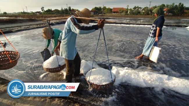 KKP Catat Produksi Garam Nasional 2,5 Juta Ton, Jawa Timur Penghasil ...