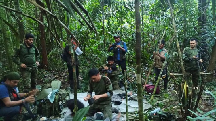 Terjebak di Hutan Kolombia, 4 Bocah Mampu Bertahan Hidup 40 Hari, Kok Bisa?
