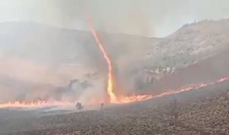 Insiden Kebakaran Bukit Teletubbies di Gunung Bromo, Api di Pusaran Angin Mirip 'Keris'