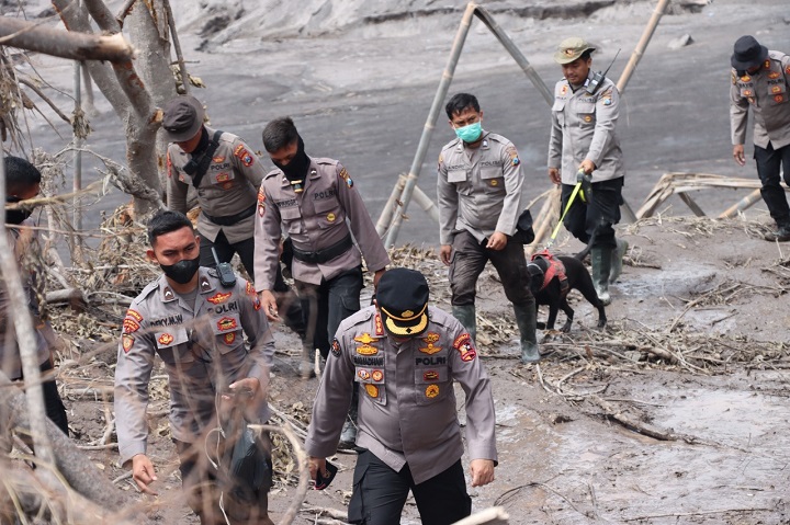 11 Anjing Pelacak dan 29 Personel K9 Dilibatkan cari Korban Erupsi Semeru