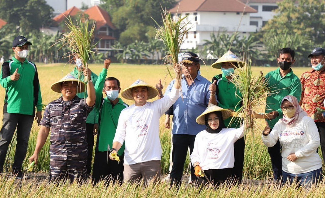 Pemkot Surabaya Terus Dongkrak Produktivitas Pertanian di Dalam Kota