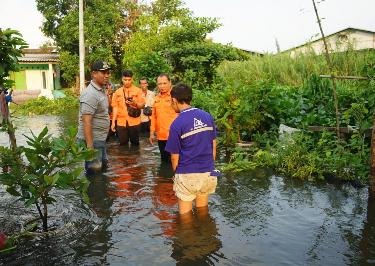 Sidoarjo Banjir Lagi, BPBD Jatim Gercep Turun Cari Solusi