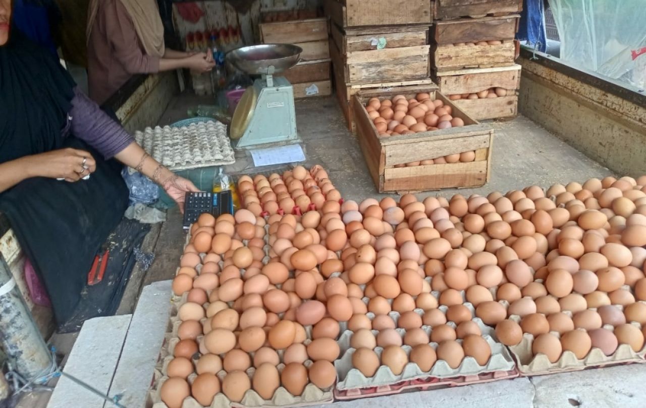 Harga Telur Ayam di Situbondo Naik