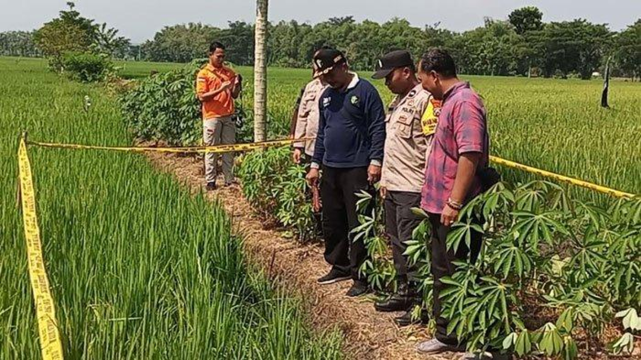 Petani di Madiun Tewas Tersengat Jebakan Tikus Listrik