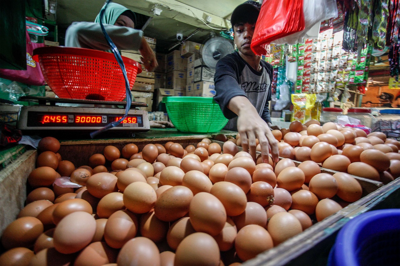 Harga Telur Ayam di Madiun Melambung Tinggi, Sentuh 30 Ribu/Kg