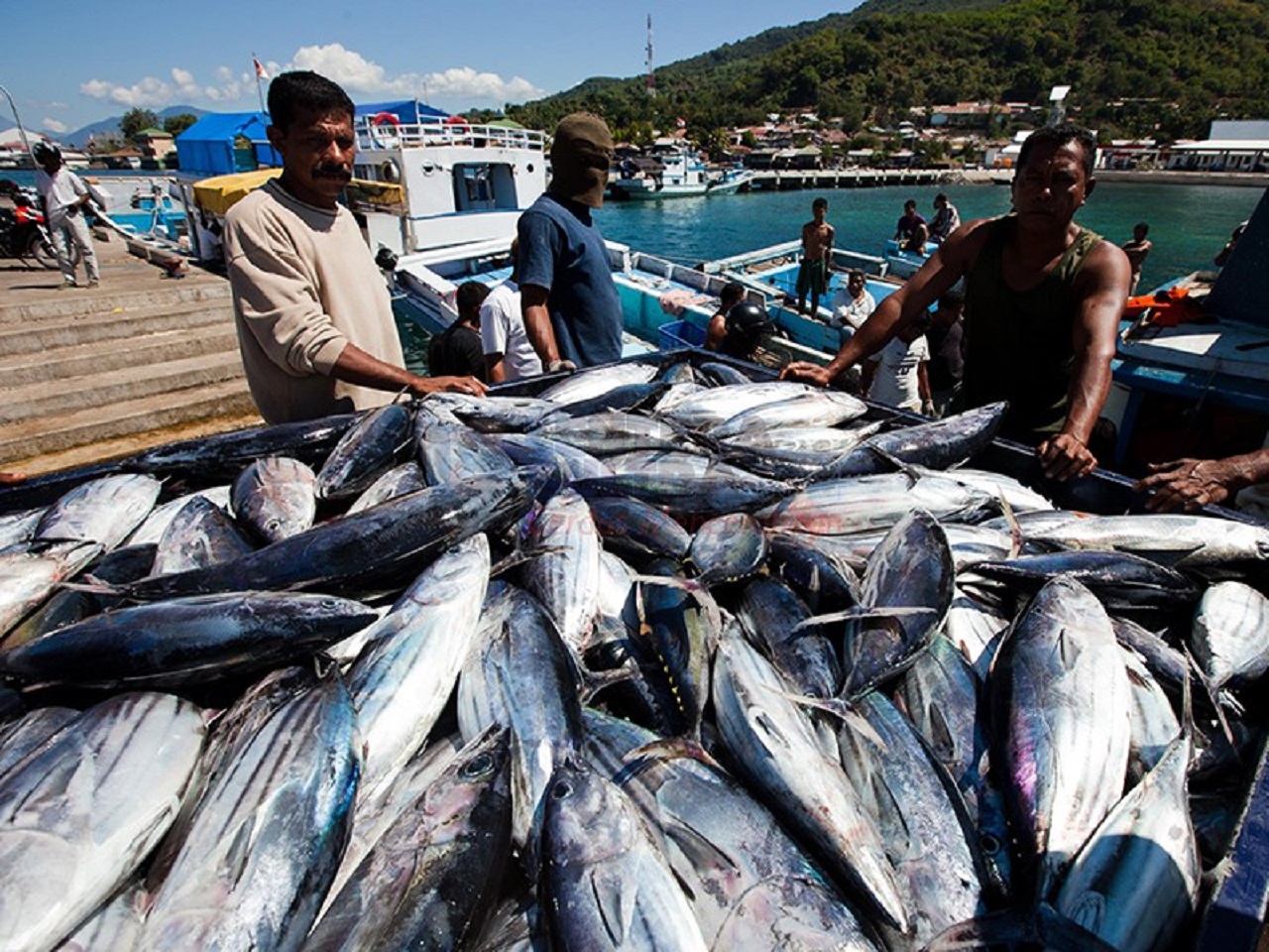 Sektor Perikanan Malang Dongkrak Program Ketahanan Pangan Nasional