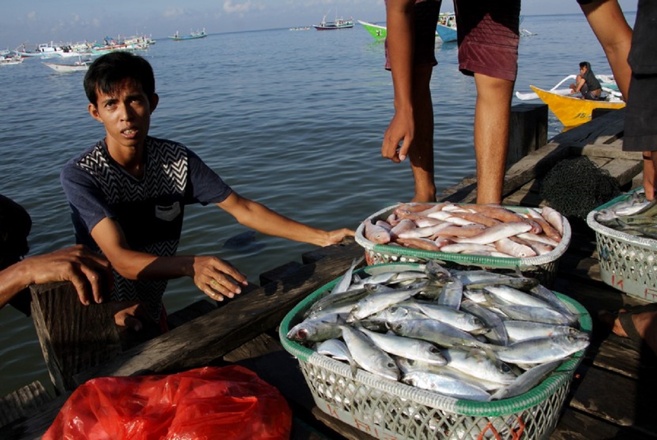 Peristiwa Masuknya Surimi Impor, Nelayan Ngeluh Harga Ikan di Trenggalek Anjlok