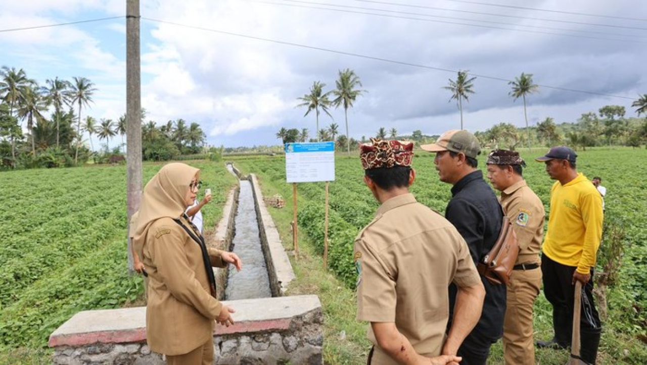 Banyuwangi akan Bangun dan Revitalisasi Irigasi Sepanjang 123 Km