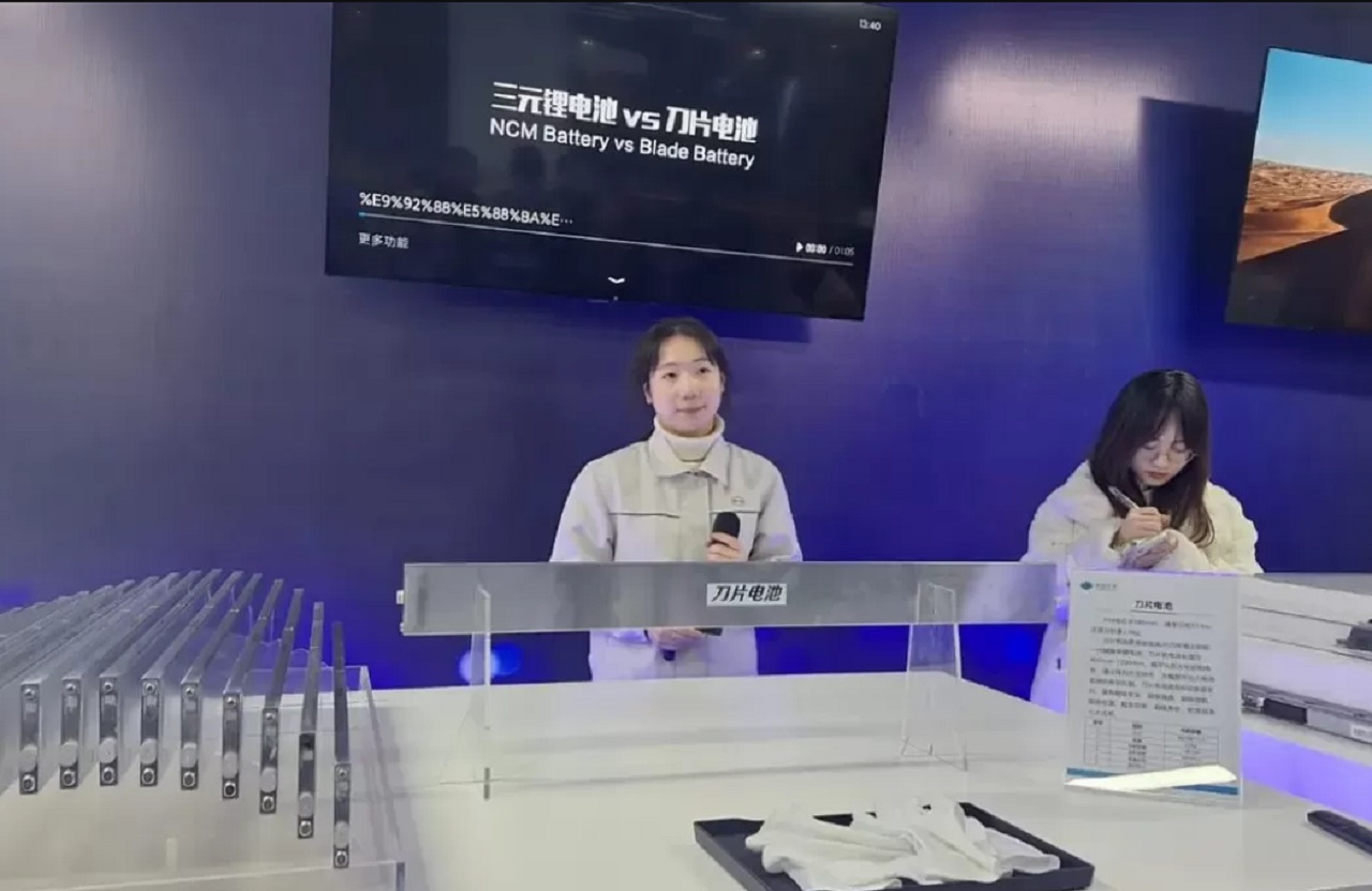 BYD Rencana Pasok Baterai LFP untuk Megafactory Tesla di Shanghai
