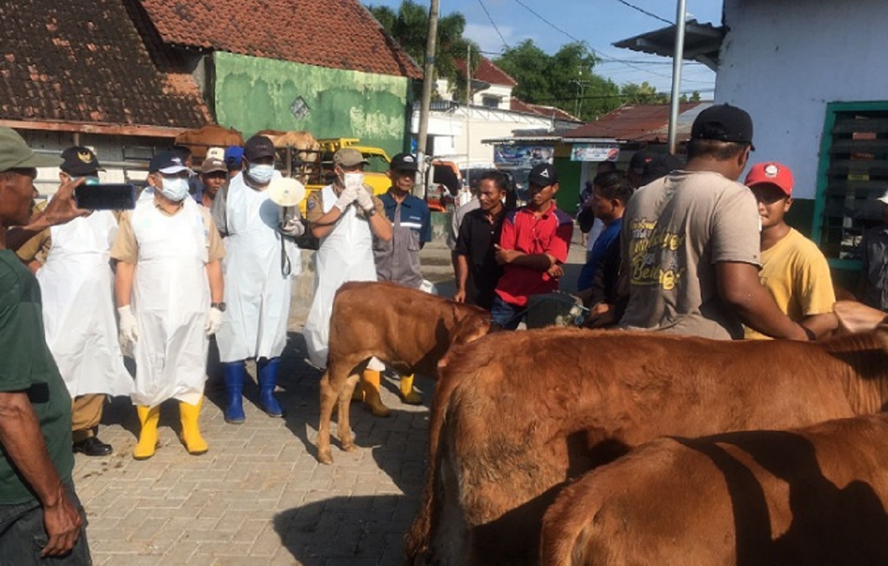 Peristiwa Tekan PMK, Pemkab Jombang Perpanjang Penutupan Pasar Hewan 10 Hari