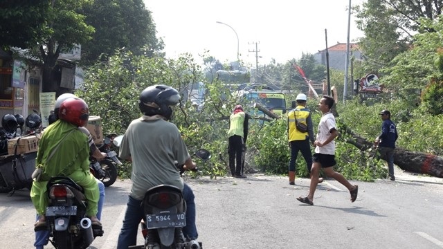 Megaproyek Jalan Empunala Mulai Dikebut, Wali Kota Ning Ita Minta Maaf Ketidaknyamanan Warga