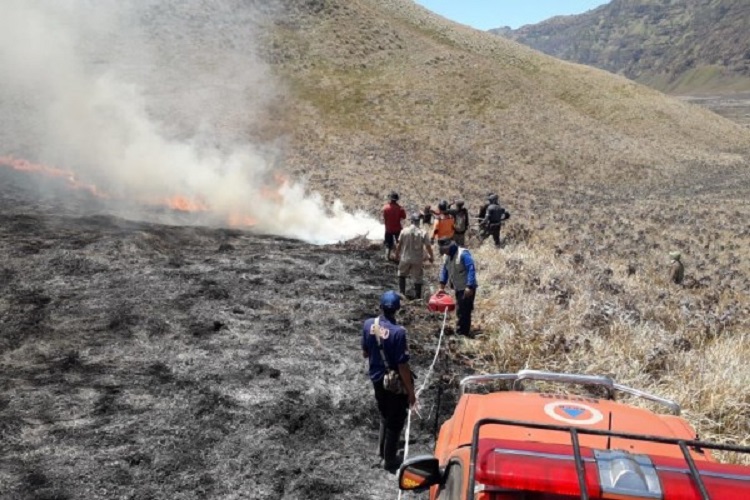 Buntut Aktivitas Foto Prewedding, Area Bukit Teletubbies Gunung Bromo Terbakar dan Ditutup Total