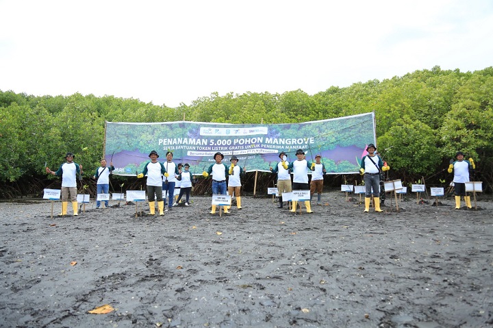 Gelar Aksi Restorasi Kawasan Mangrove, PLN Tanam 5000 Bibit Mangrove di Teluk Pangpang Banyuwangi