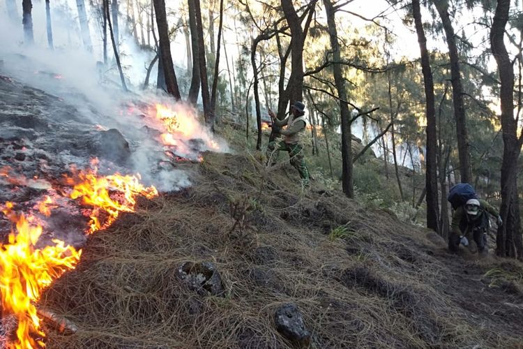 Kebakaran di Gunung Arjuno-Welirang Merembet Sampai Mojokerto, BPBD Upayakan Metode Gopyok