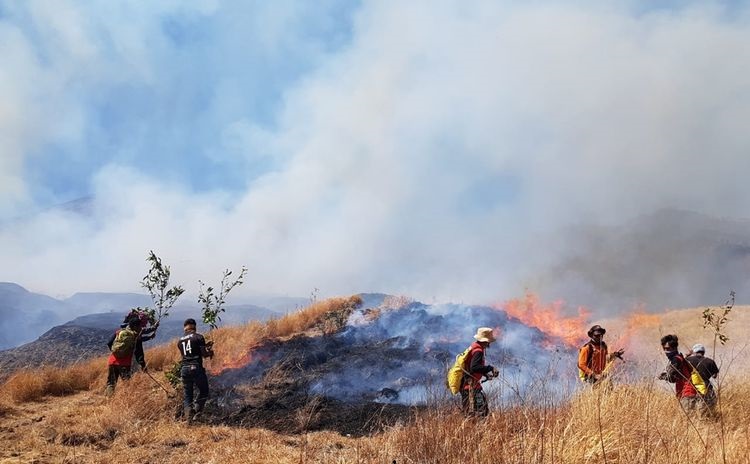 Kebakaran di Gunung Rinjani, Jalur Pendakian Aik Berik dan Tetebatu Ditutup