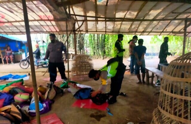Arena Sabung Ayam Digerebek Polisi, Puluhan Penjudi Kocar-Kacir
