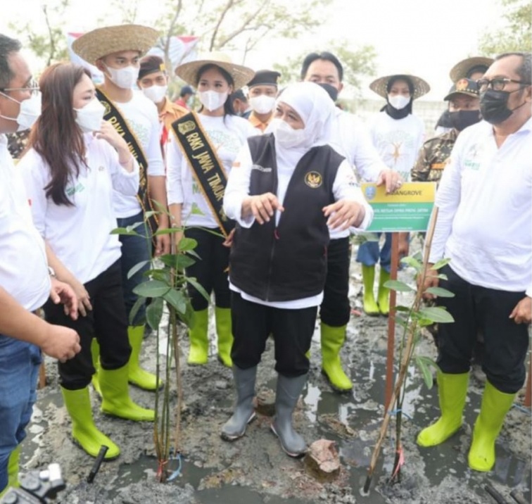 Tahan Laju Perubahan Iklim, Gubernur Khofifah Canangkan Gerakan Restorasi Mangrove