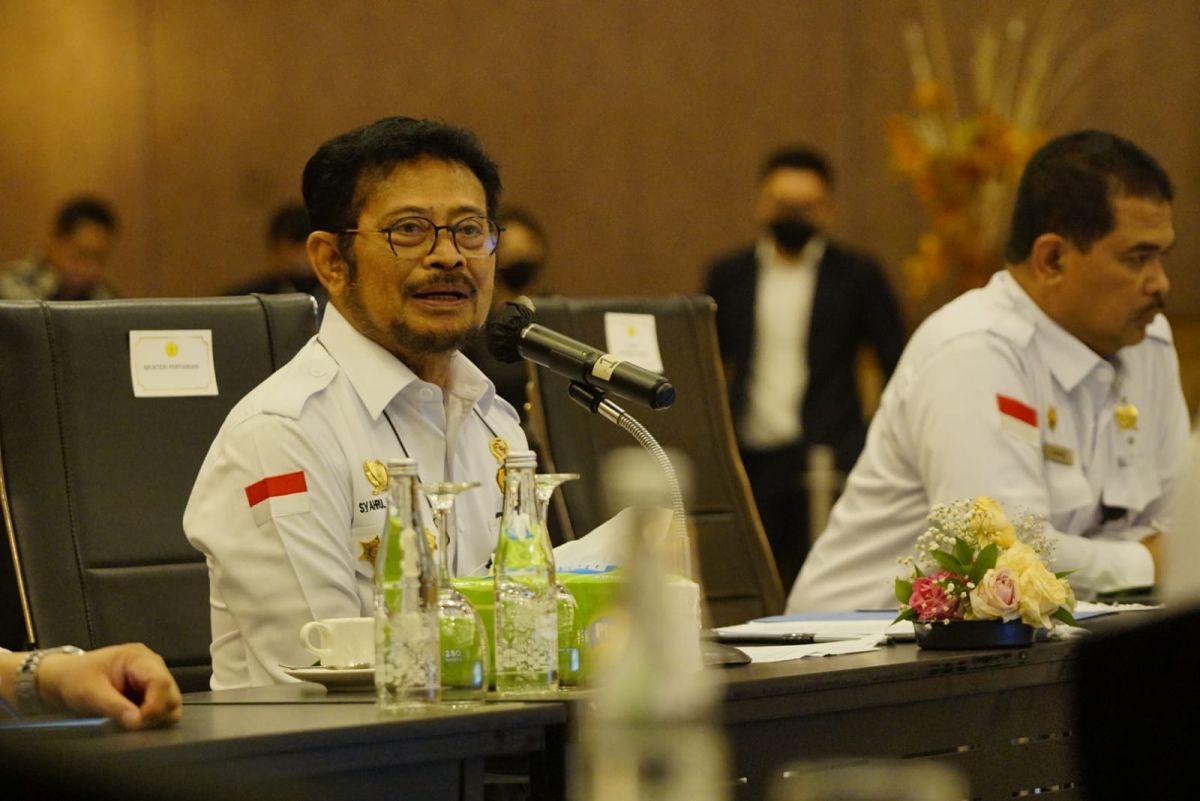 Mentan SYL Pasang Target Nilai Ekspor Perkebunan Indonesia Capai 100 Triliun di 2023