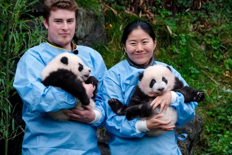 Wisata Museum Panda, Tingkatkan Kesadaran Lingkungan Ekologi