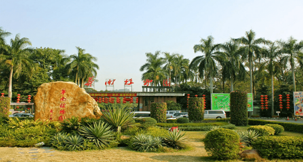 China Suguhkan Pesona Kebun Raya Terbesar Dunia 
