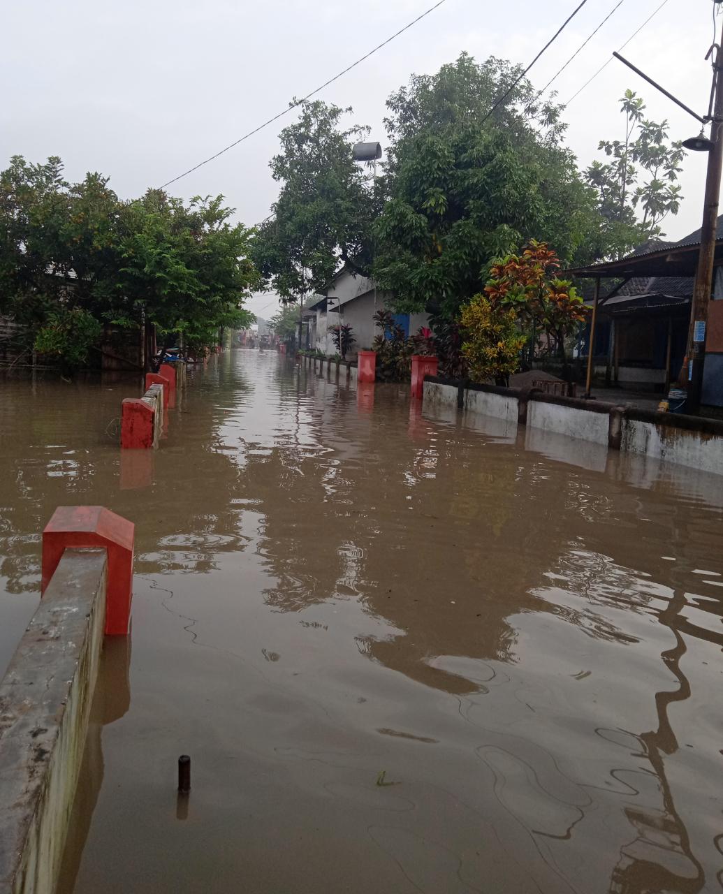 Ratusan Rumah Warga Gembongan Terendam Banjir