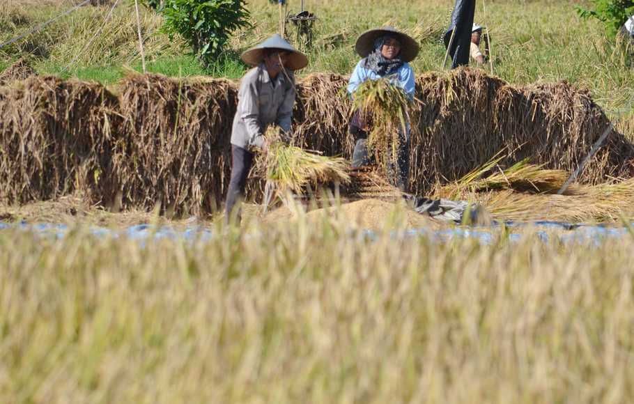 Dinas Pertanian Ngawi Wujudkan Kedaulatan Pangan