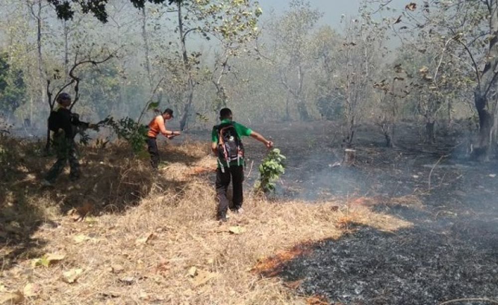 Hutan Baluran Situbondo Kembali Terbakar