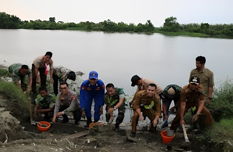 Kodim 0816 Sidoarjo dan Forkopimka Jabon Gelar Penanaman Mangrove Nasional
