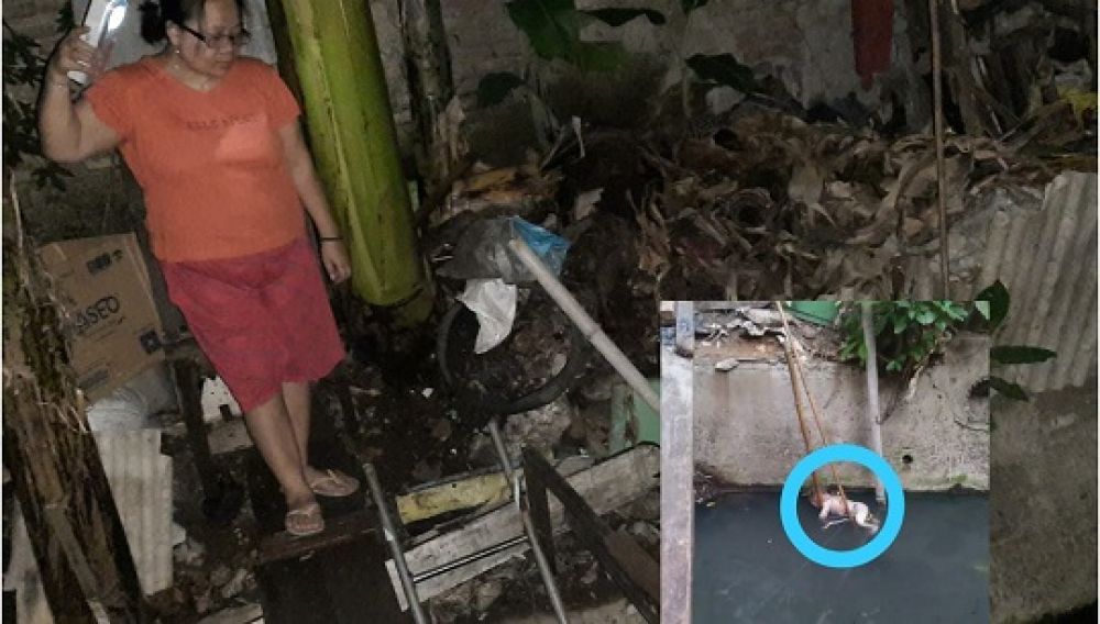 Dikira Bangkai Kucing, Jasad Bayi Mengambang di Kali Kampung Malang