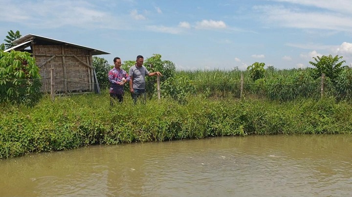 Merintis Desa Wisata Ngingasrembyong Mojokerto Melalui Budidaya Ikan Air Tawar