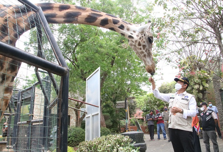 Usai Resmi Dibuka, Pengunjung Mulai Lirik Wisata Maharani Zoo