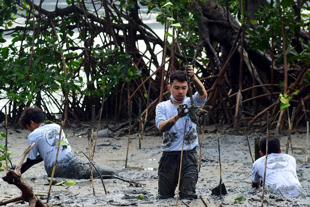Gerakan Tanam Mangrove dan Bersih Sampah