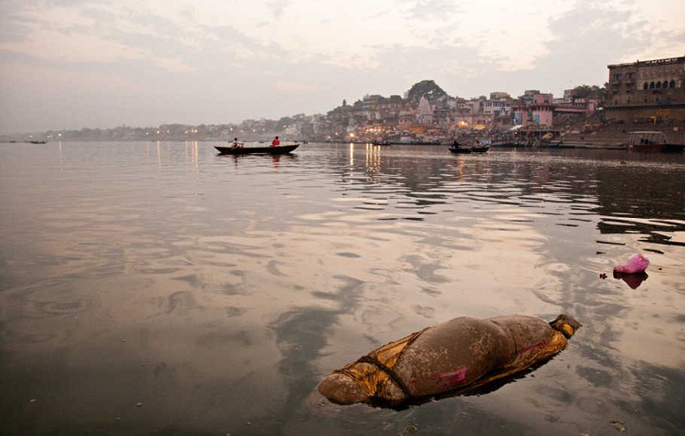 Minim Bahan Kremasi, Mayat Covid-19 India Dibuang ke Sungai Gangga