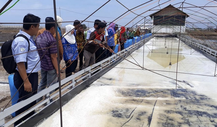 Antisipasi Penurunan Produksi Garam, DKP Jatim Siapkan Konsep Hulu-Hilir