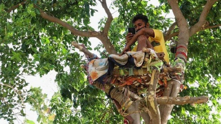 Positif Covid-19, Pria India Isolasi Mandiri di Atas Pohon