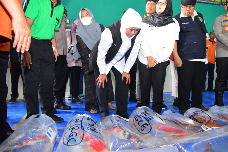 Gubernur Khofifah Dorong Peningkatan Ekspor Ikan Koi Blitar
