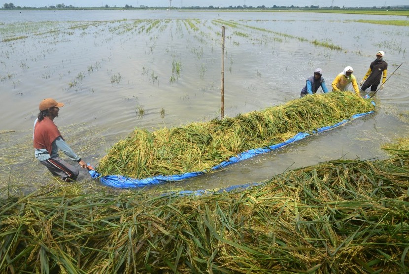 1.694 Hektare Lahan Pertanian Jatim Terendam Banjir
