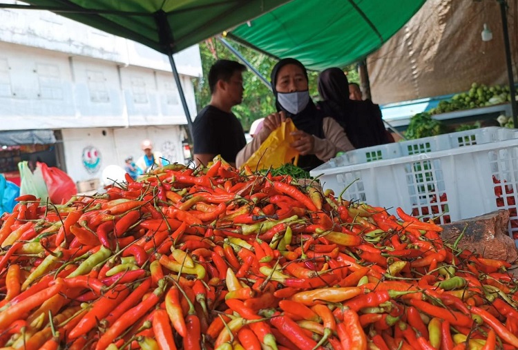 Harga Cabai Pedas Lagi, Melambung Tinggi Tembus Rp 110 Ribu Per Kg