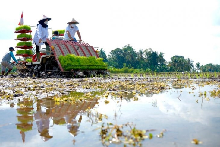 Pemkab Banyuwangi Tanam Perdana Metode Agro Solution