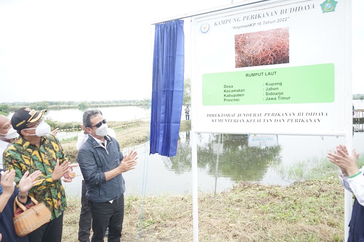 Menteri KKP Canangkan Desa Kupang Jabon Kampung Budidaya Rumput Laut