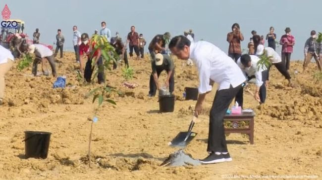 Luncurkan Food Estate di Gresik, Presiden Jokowi Ikut Tanam Mangga