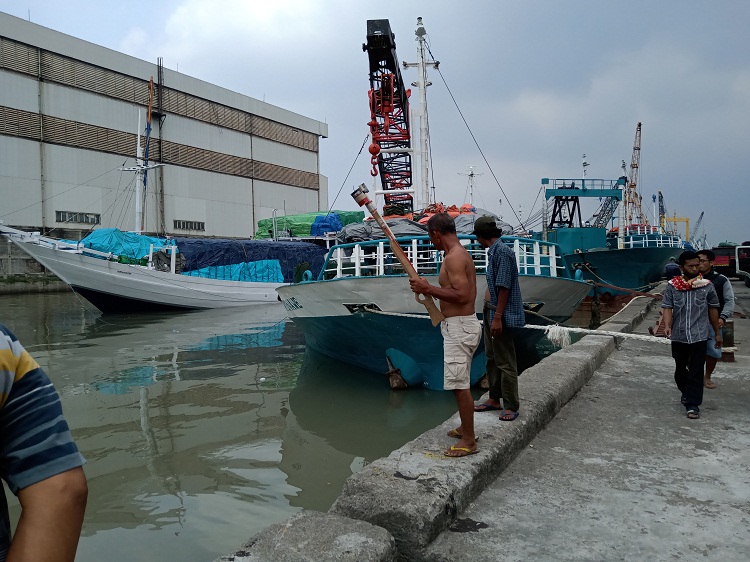 Pelabuhan Kalimas Sepi, Pekerja Pilih Berburu Ikan Cucut