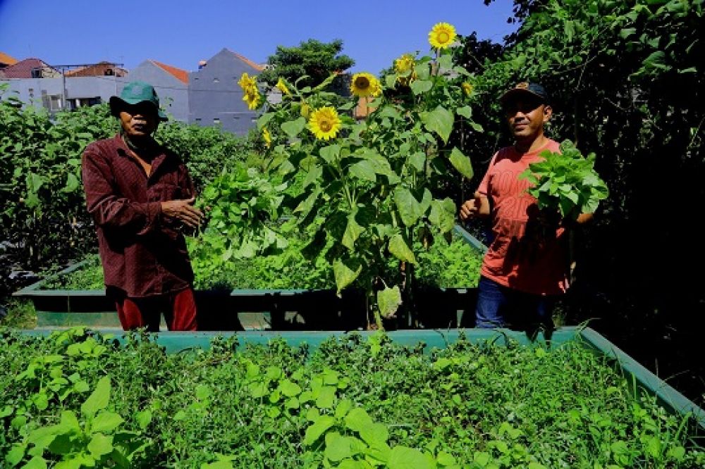 Pengembangan Urban Farming untuk Penguatan Ketahanan Pangan Surabaya
