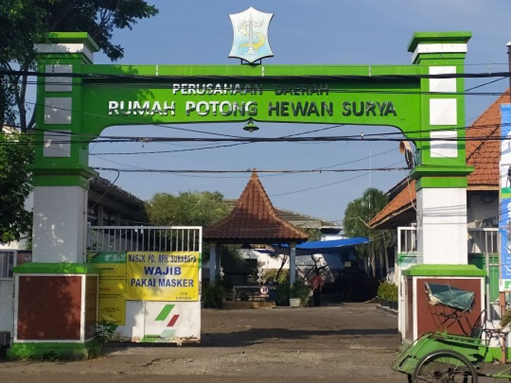 RPH Surabaya Pastikan Keamanan Pada Hari Raya Kurban