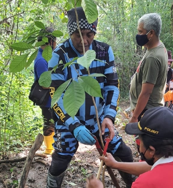 DLHKP Kota Kediri Apresiasi Penghijauan di Hutan Gunung Klotok