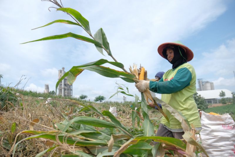 361 Petani Sanggem Garap Lahan 119 Hektar Milik Semen Gresik di Rembang