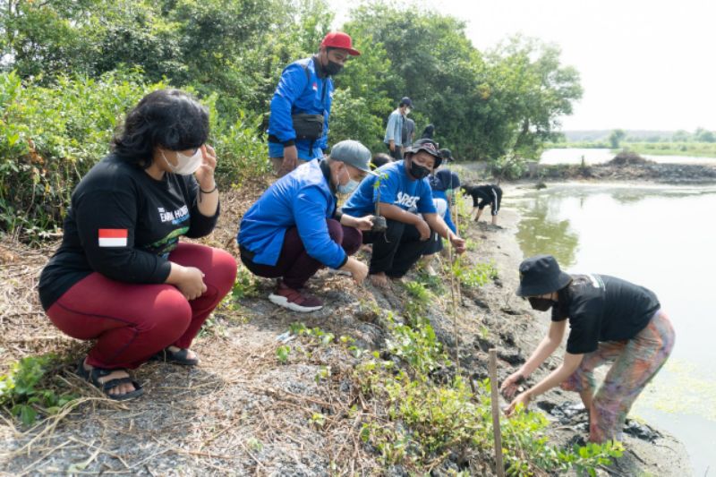 Bukti Peduli Lingkungan, Super Agen Gandeng Earth Hour Surabaya untuk Tanam Mangrove Bersama