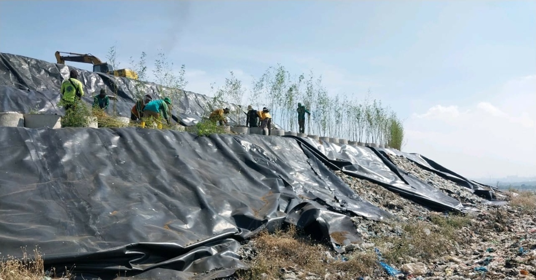 Kurangi Bau Menyengat, Pemasangan Geomembran dan Penanaman Pohon di PLTSa Benowo Dikebut